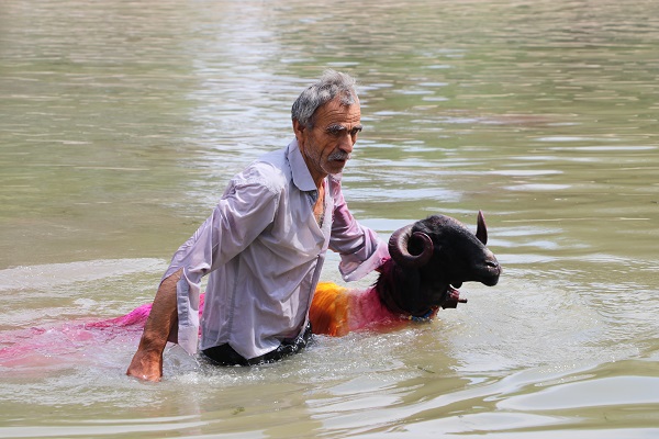 UNESCO'nun listesinde! Bu yarışma ülkemizde 850 yıldır yapılıyor