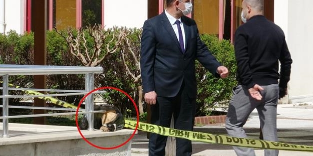 Üniversite bahçesinde insana ait kafatası bulundu