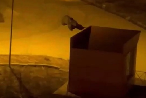 Üniversite kampüsünde ayı paniği