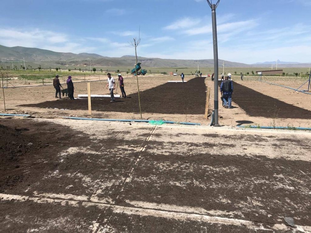 Üniversite kampüsüne rulo çimler ekildi 