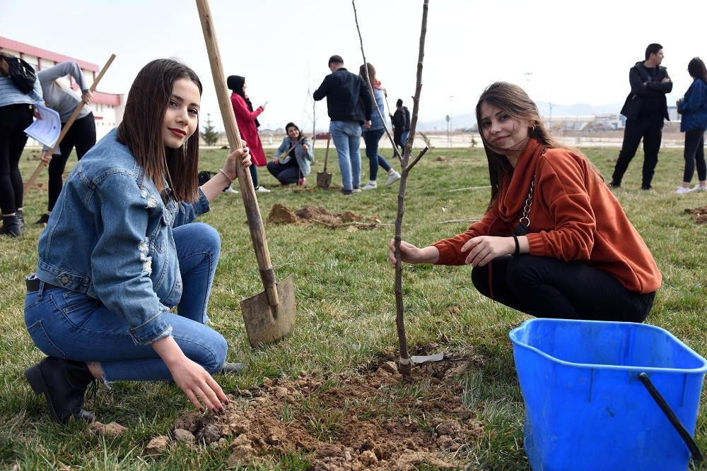 Üniversite öğrencileri İdlib şehitleri anısına 450 fidan toprakla buluşturdu 