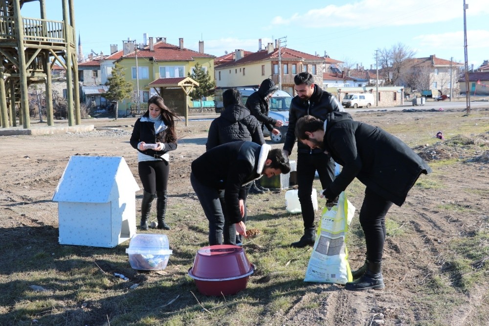 Üniversite öğrencilerinden sokak hayvanlarına “sıcak bir yuva” projesi 