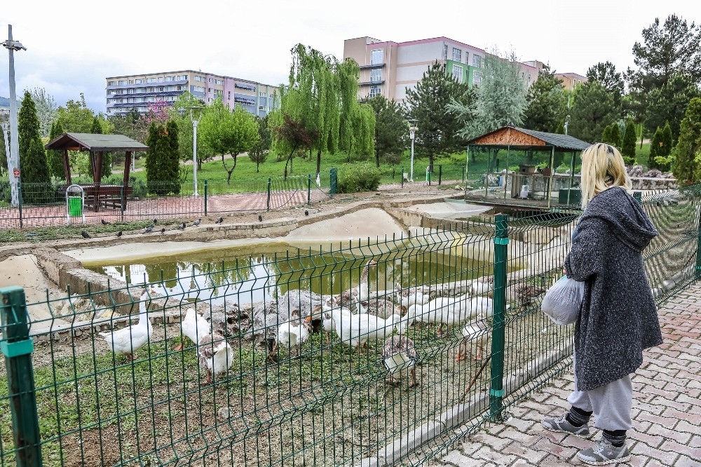 Üniversite öğrencisi kampüs bahçesindeki hayvanları unutmadı 