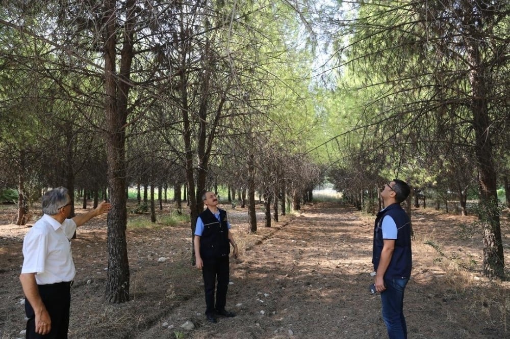 Üniversite ormanı bilimsel yöntemlerle rehabilite ediliyor 
