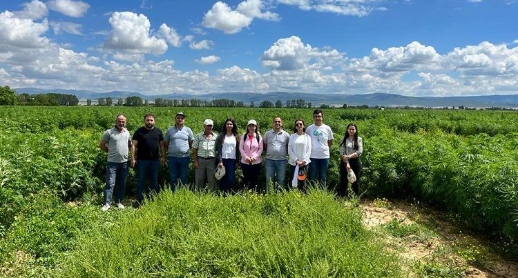 Üniversite-Sanayi el ele verdi; Yerli ve milli şeker pancarı tohumları geliştirildi