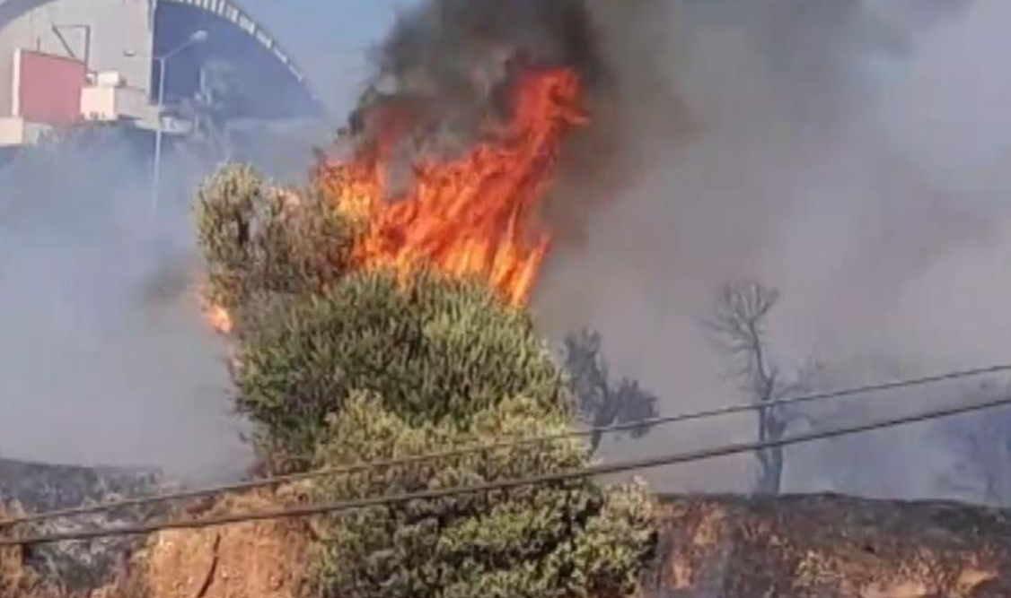 Üniversitede yangın paniği