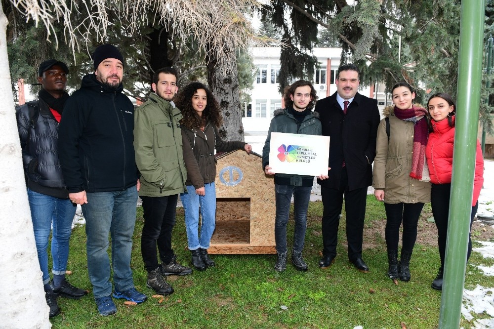 Üniversitedeki patiler yuvasız kalmadı 