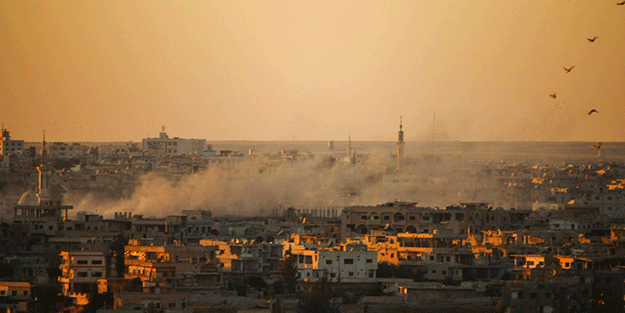 Üniversiteler yanan ormanlar için fidan bağışlıyor