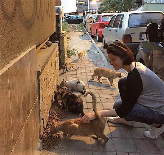 Üniversiteli 2 genç hocalarıyla birlikte sokak hayvanları için yemek artıklarını topluyor 