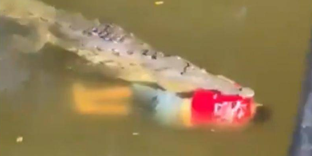 Ünlü futbolcu timsah saldırısında öldü!