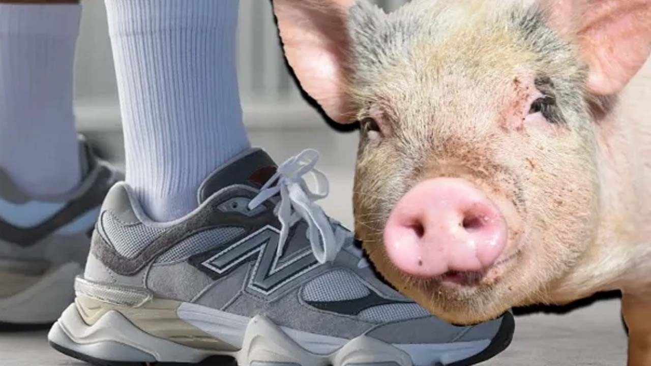 Ünlü marka şoku yaşattı! Bu sefer köfte değil ayakkabı... Domuz derisi çıktı