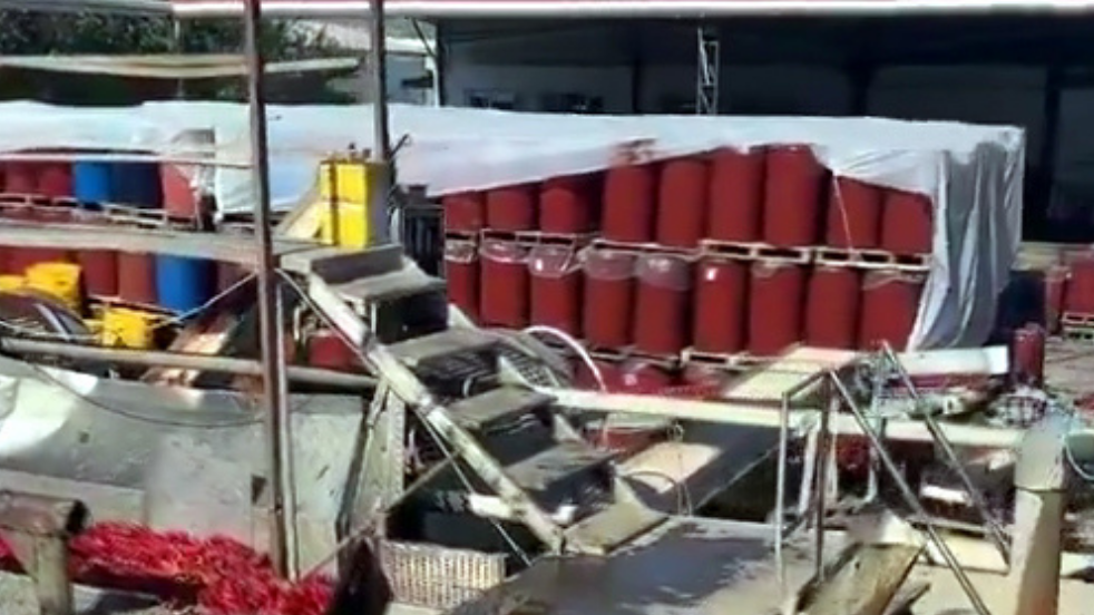 Ünlü markanın salça fabrikasında mide bulandıran görüntü!