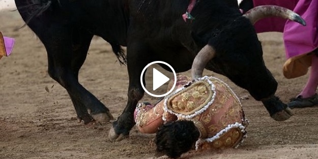 Ünlü matador boynuz darbesiyle öldü