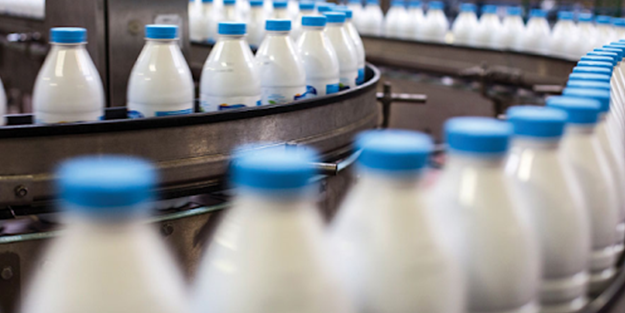 Ünlü süt firmasından kötü haber! Maalesef iflas ettiler