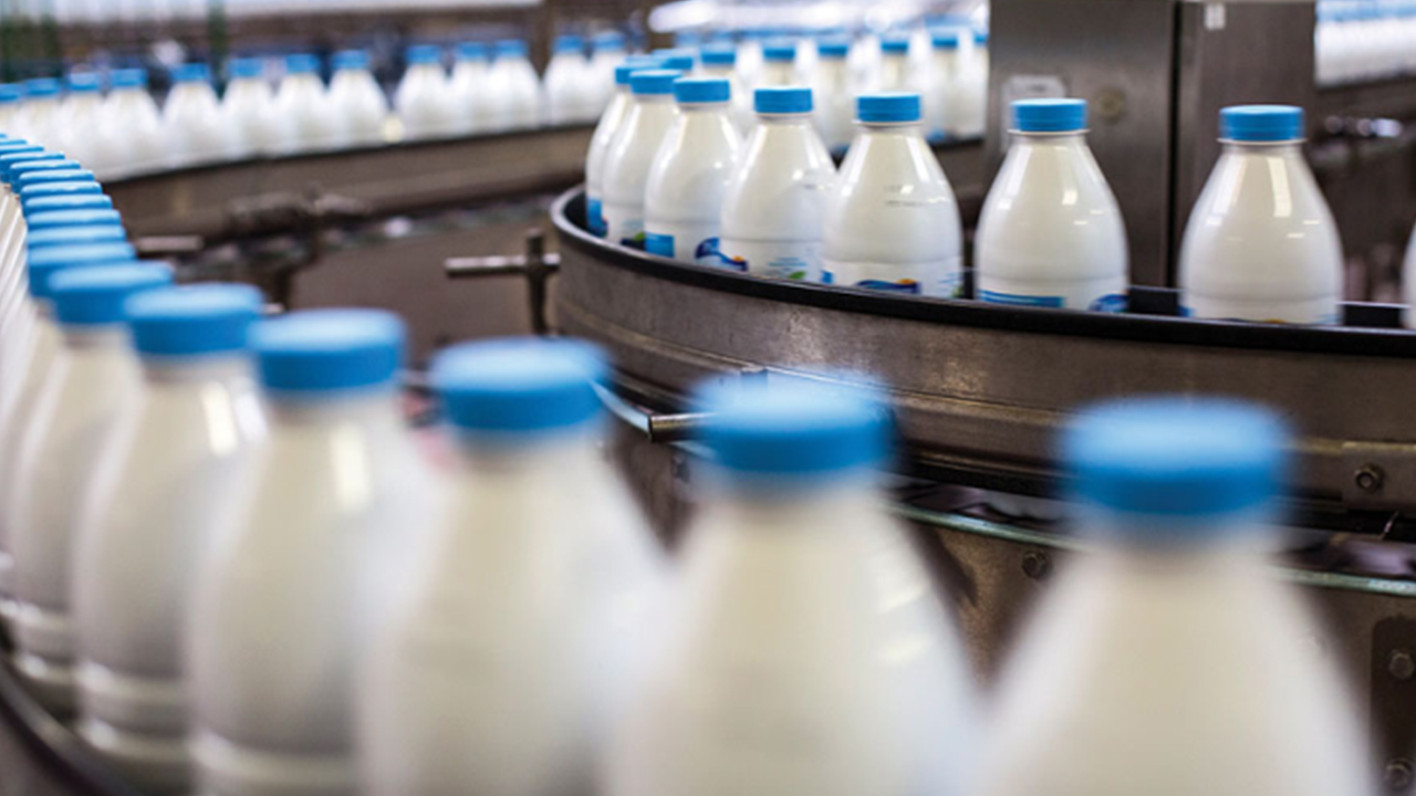 Ünlü süt üreticisi iflasın eşiğinde! Kötü haber geldi