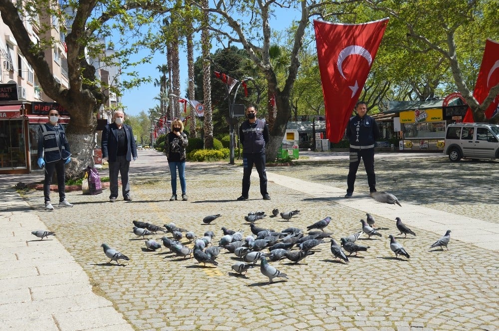 Ünlü tatil merkezinde sokak hayvanları aç kalmasın diye çabalıyorlar 