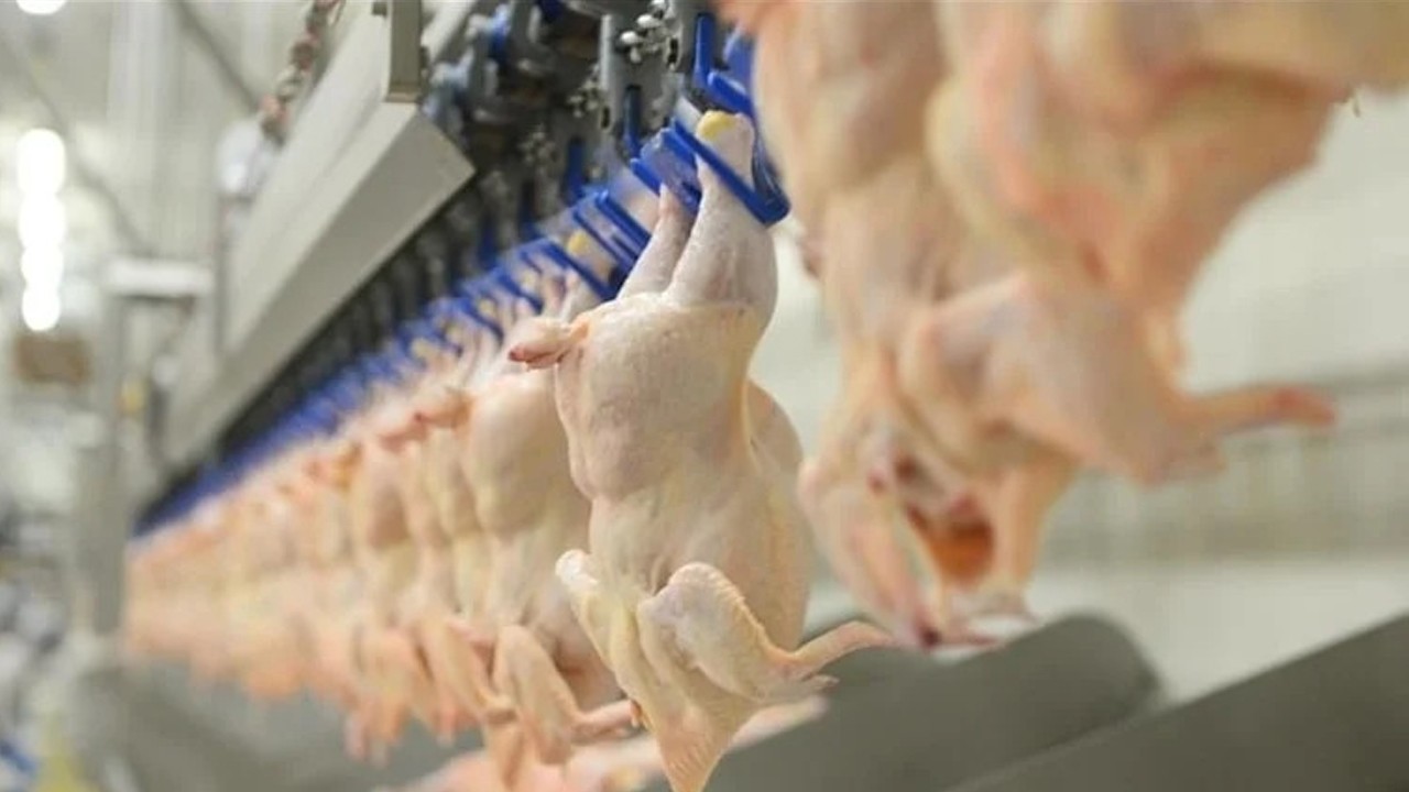 Ünlü tavuk firmalarına ceza