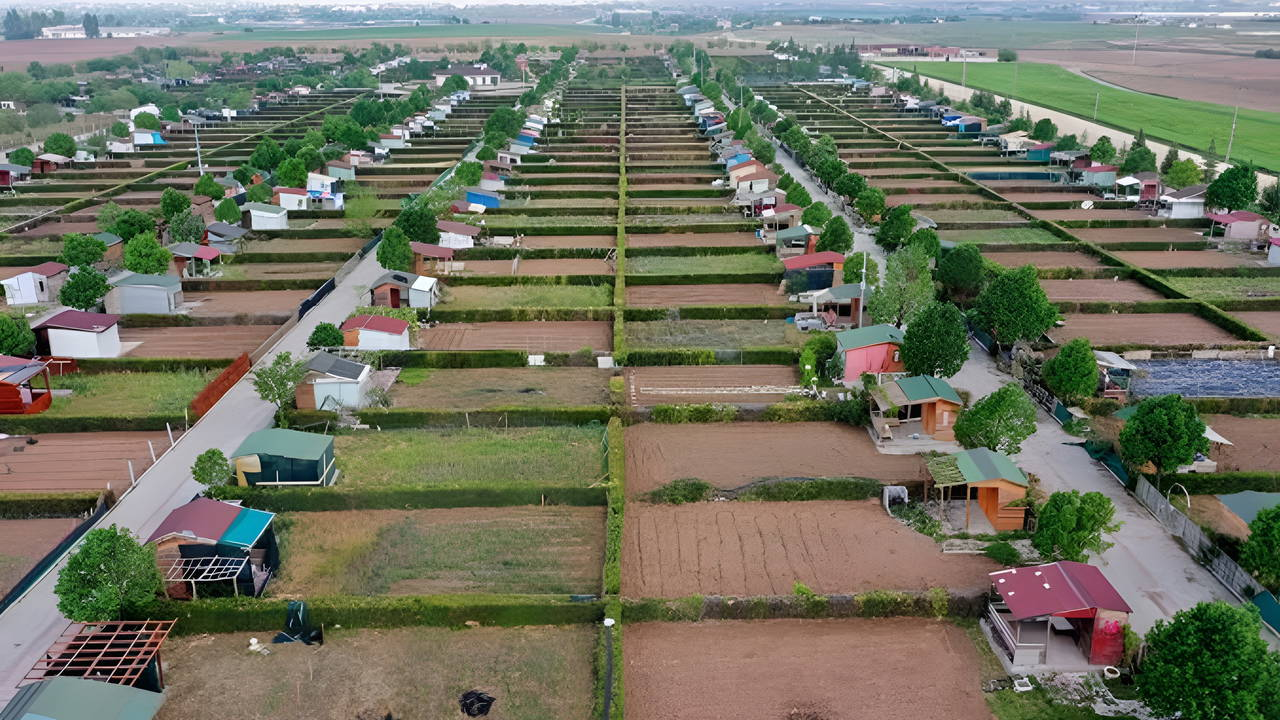 Ünlü yazardan hobi bahçeleri çıkışı! 'Cezalandırmak yerine denetleyin'