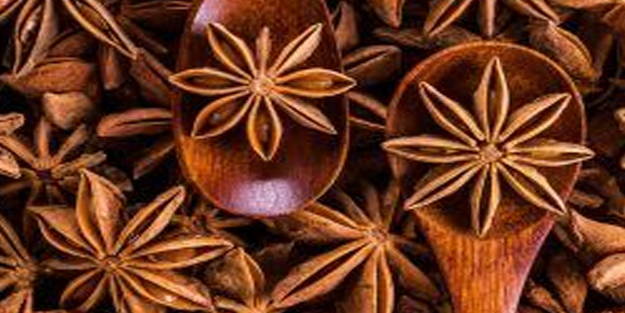 Unutkanlık: Hafızayı canlı tutan o bitkiler! Unutkanlık neden olur? Unutkanlığa ne iyi gelir?