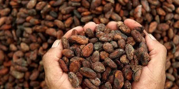 Unutkanlık sorunu mu var? İşte çözümü