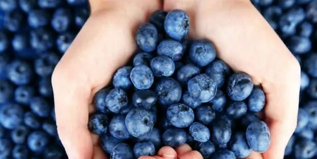 Unutkanlık sorunumu var? Meğer dünyanın en eski şifa kaynağıymış, duyan almak için akın edecek! İşte çözümü!