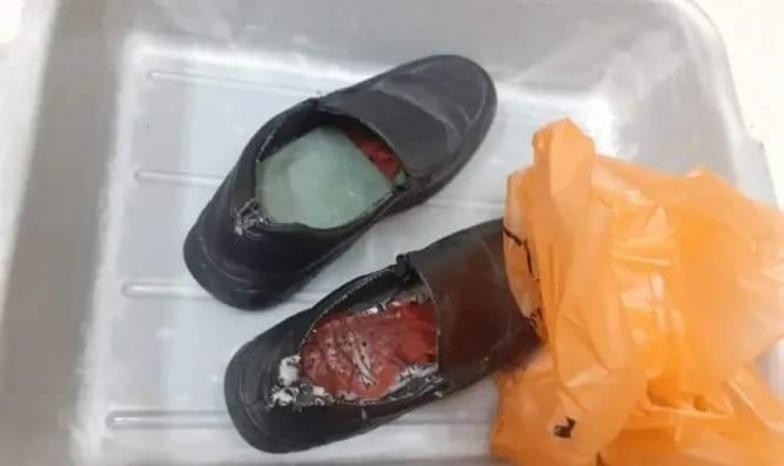 Ürdün’de ayakkabılara gizlenmiş 8 nadir kuş bulundu 