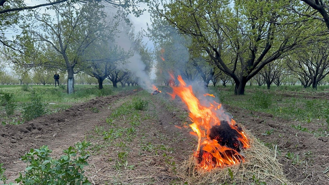 Üreticiler dona karşı böyle nöbet tutuyor!