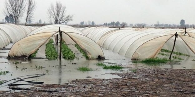 Üreticiler uyardı: Fırsatçılar hortumu bahane ederek fiyatları yüzde 300 artırdı
