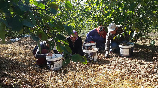 Üreticilere 'tarım sigortası' çağrısı