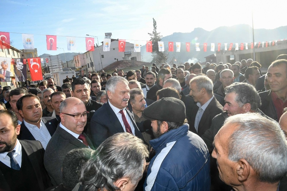 Üreticiye 42 bin 500 lavanta fidesi 