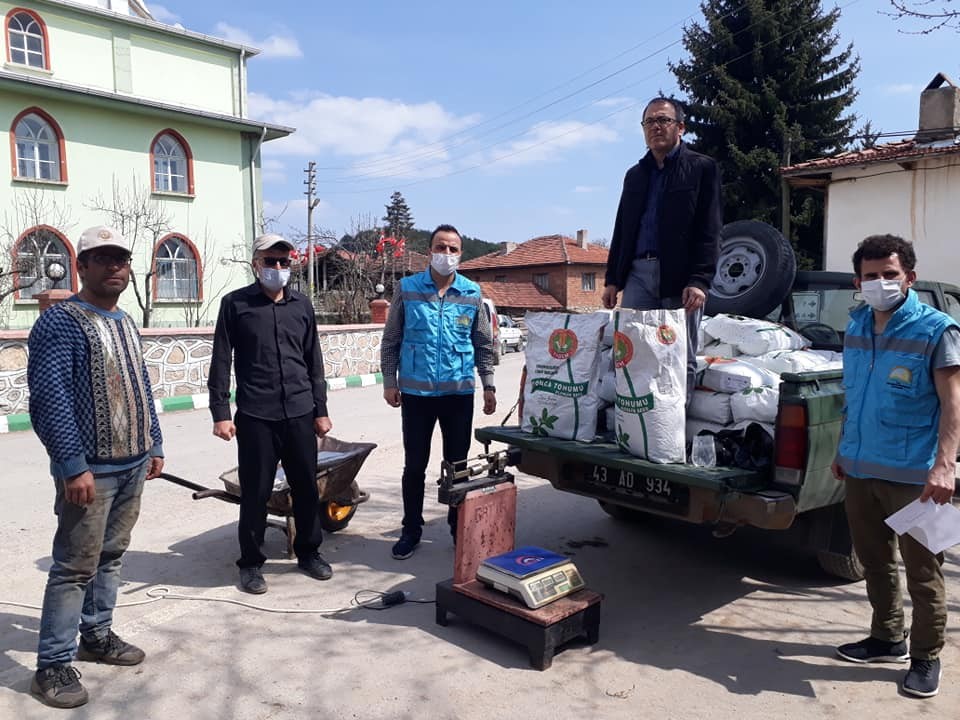 Üreticiye ücretsiz yonca tohumu desteği 