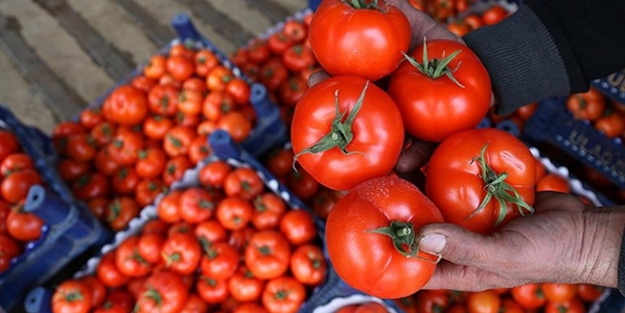 Üreticiyi şahlandıracak teşvikler geliyor!