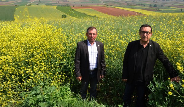 Üretimi 3 yılda 14 kat arttı!