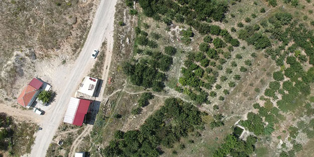 Ürettikleri meyve köyün geleceğini kurtardı