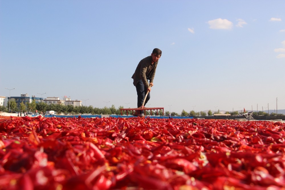 Urfalıların ’acı’ ile imtihanı başladı 