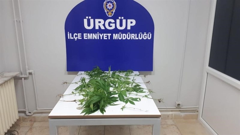 Ürgüp’te balkonda saklılara ekilmiş Hint keneviri ele geçirildi 
