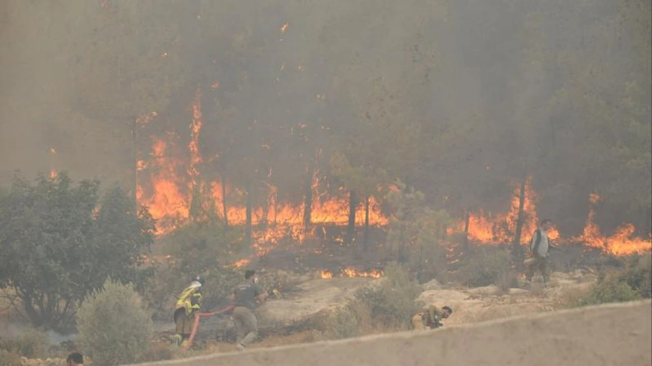 Uşak'ta çıkan orman yangını kontrol altında!