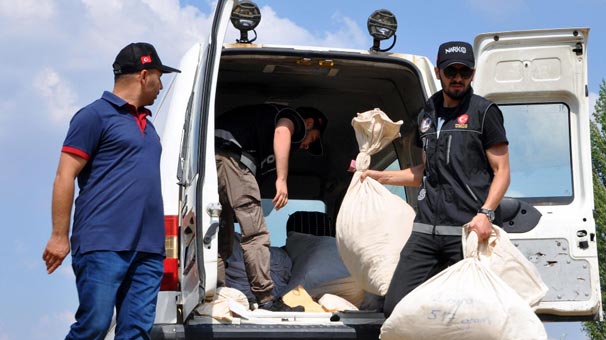 Uşak'ta çuval çuval getirip imha ettiler