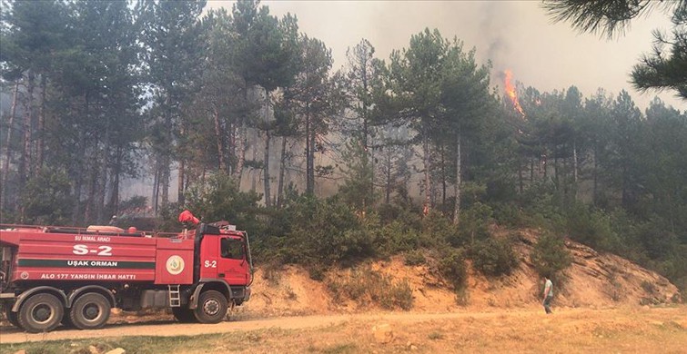 Uşak'ta orman yangını çıktı