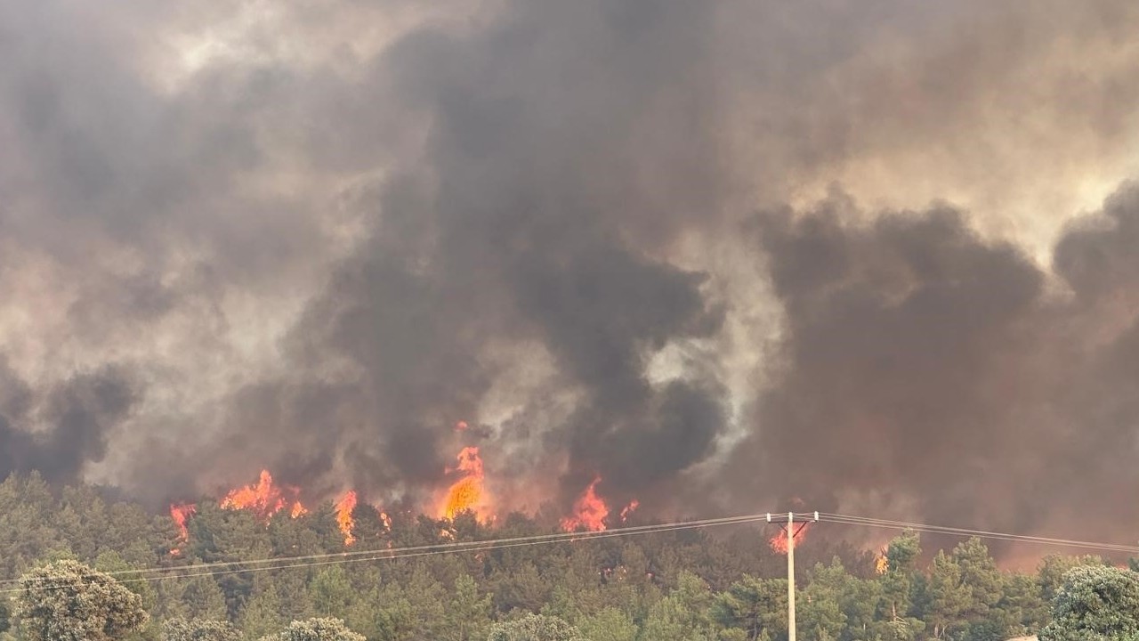 Uşak’ta orman yangını sürüyor