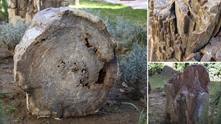 Uşak'ta yol yapımı sırasında farkedildi! Dünyada eşine çok az rastlanıyor