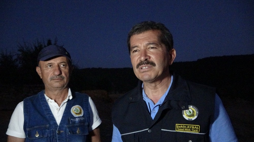 Uşak’taki orman yangından 3 hektarlık alan zarar gördü 