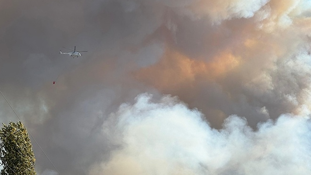 Uşak'taki orman yangını kontrol altında!