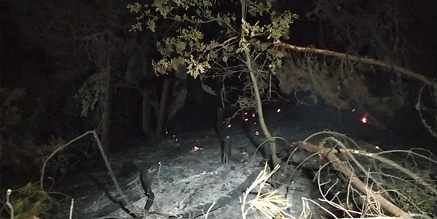 Uşak'taki orman yangını söndürüldü