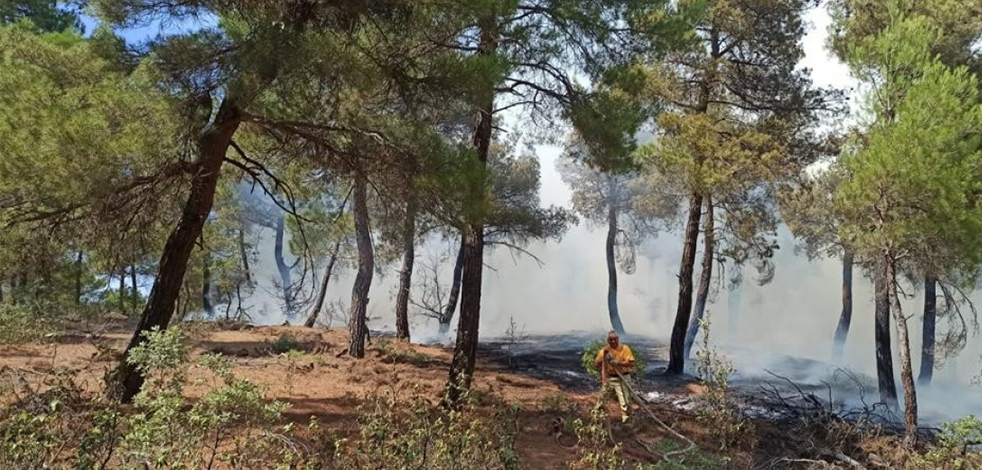Uşak'taki orman yangınında 2 buçuk hektar alan kül oldu