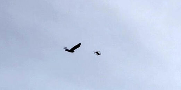 Üsküdar’da şaşırtan görüntü! Drone’a saldırdı