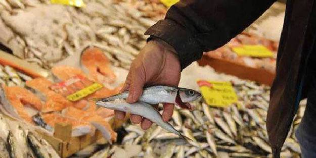 Uskumru 35 yıldır görünmüyordu! Yeniden tezgahta