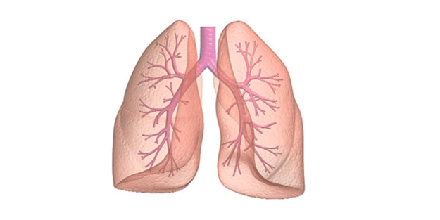 Üst solunum yolu enfeksiyonlarına dikkat!