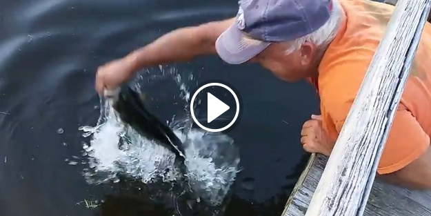 Usta avcı balığı eliyle yakalıyor