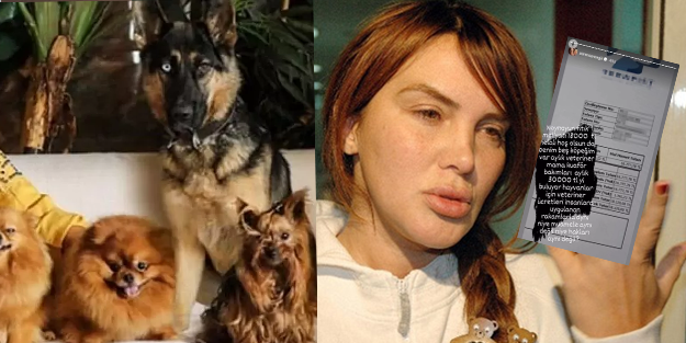 Utanmadan paylaştı! 'Köpeklerimin aylık masrafı 30 bin TL'
